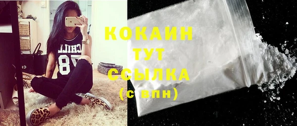 дмт Абаза