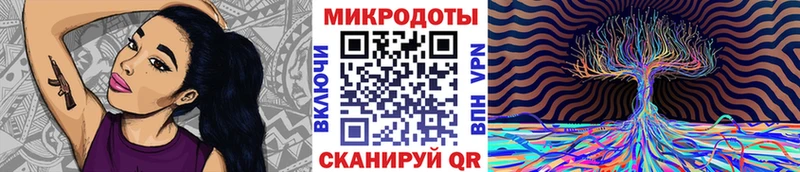 Галлюциногенные грибы GOLDEN TEACHER  наркотики  Шимановск 